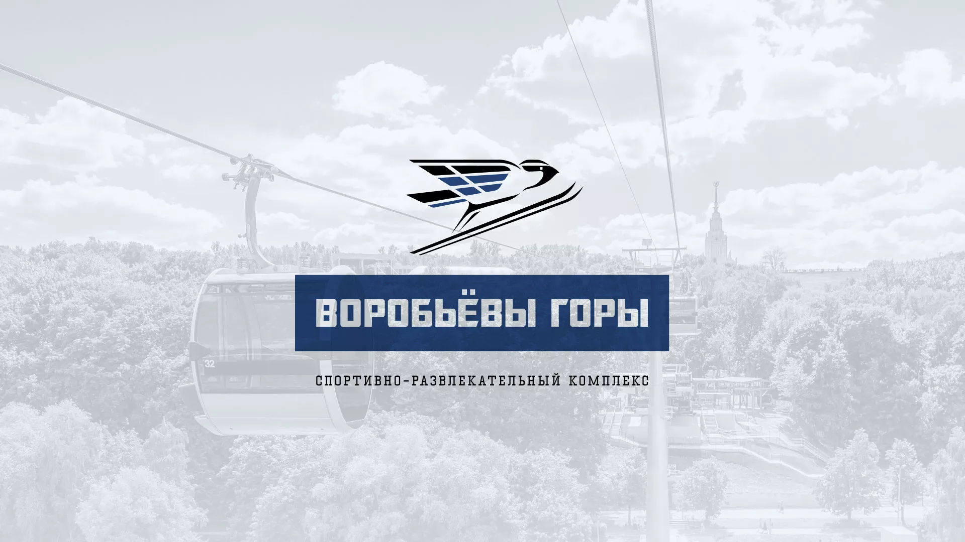 Разработка сайта в Барыше для спортивно-развлекательного комплекса «Воробьёвы горы»