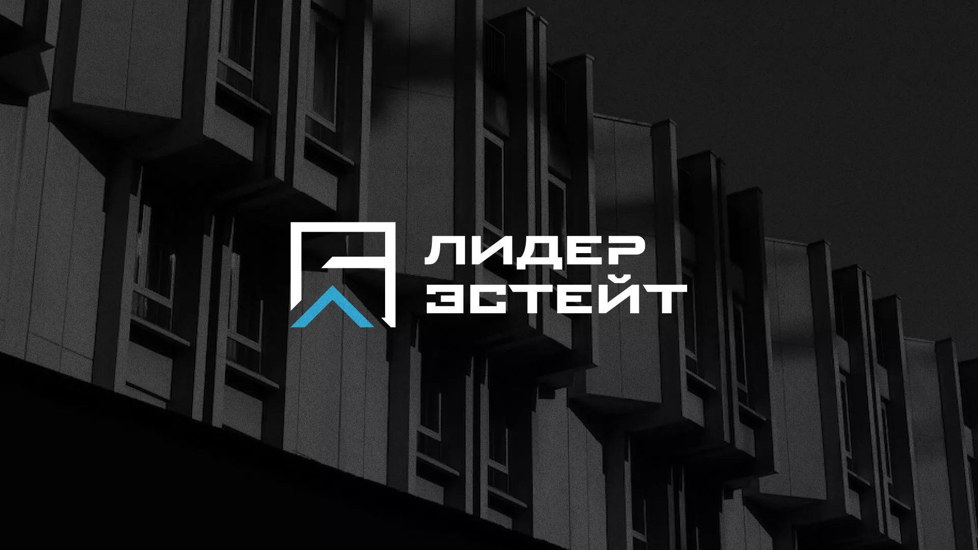 Разработка логотипа агентства недвижимости «Лидер Эстейт» в Барыше